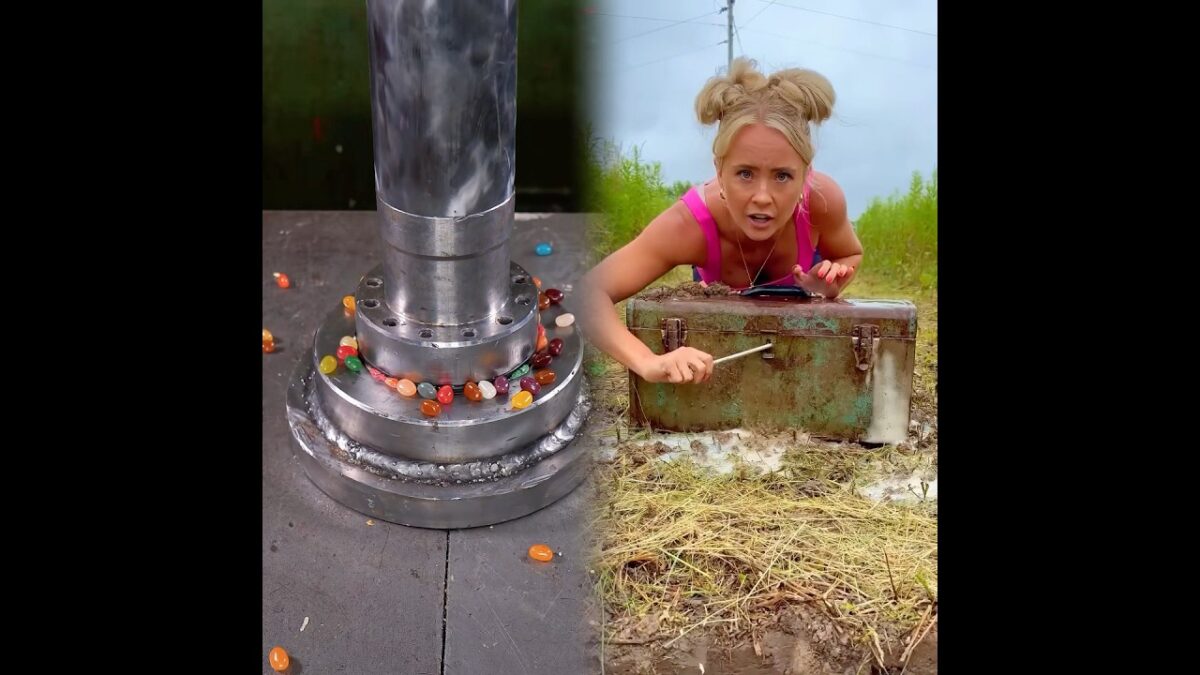 What’s In This Box