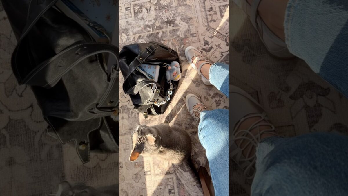 What’s in my bag? #whatsinmybag #girlythings #songmont