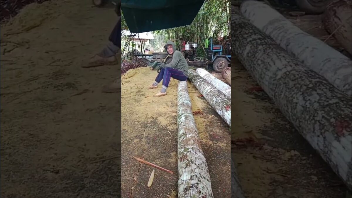 calon blandar,,#nature #asmr #hardwork