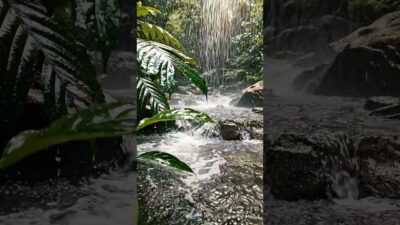 feel the relax sound #youtubeshorts #nature #asmr #rainyday