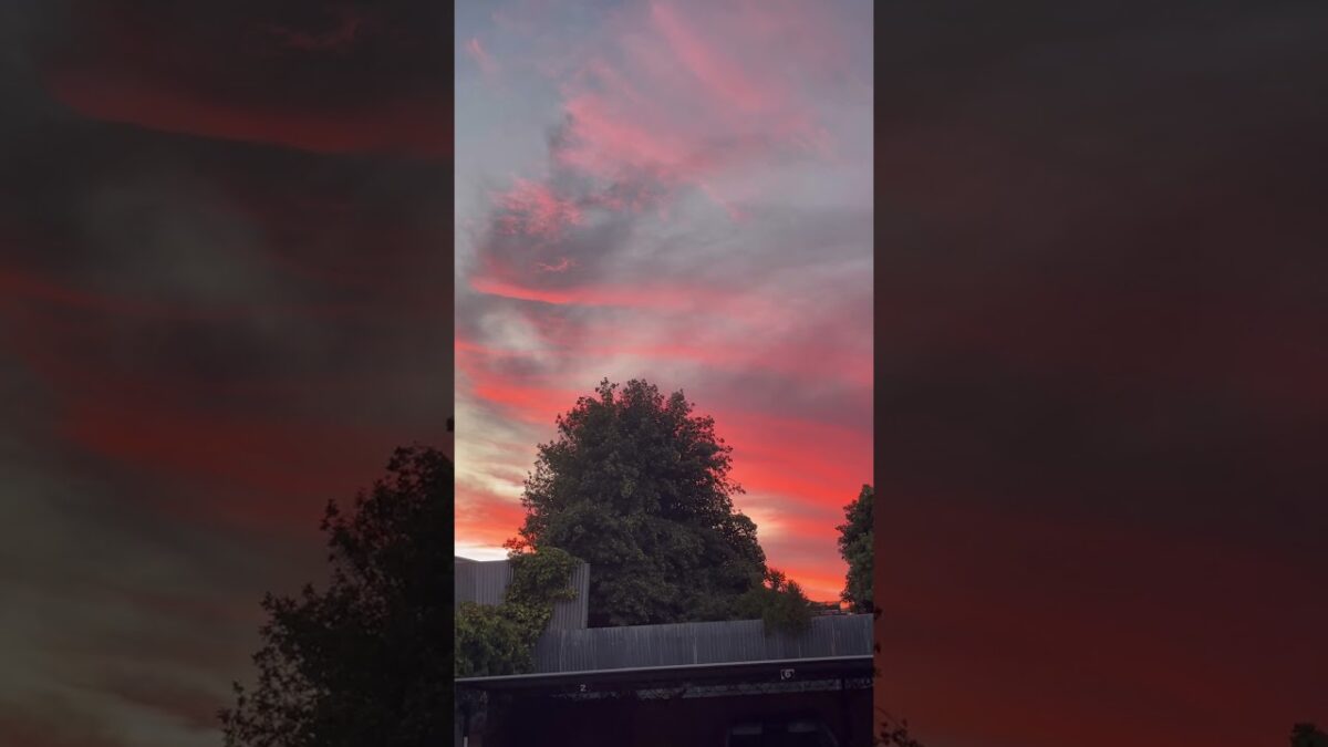 #pleasesubscribe 😀#shorts #youtubeshorts #shortsvideo #nature #asmr