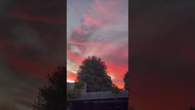 #pleasesubscribe 😀#shorts #youtubeshorts #shortsvideo #nature #asmr