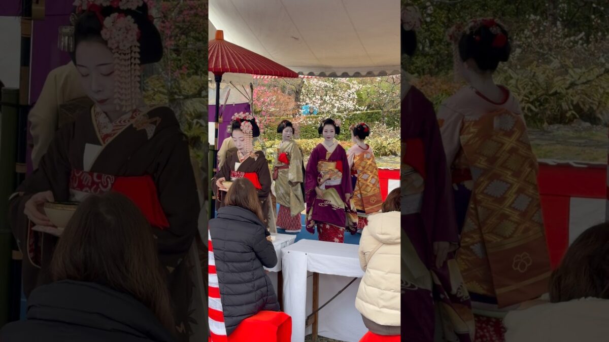 北野天満宮 梅花祭野点