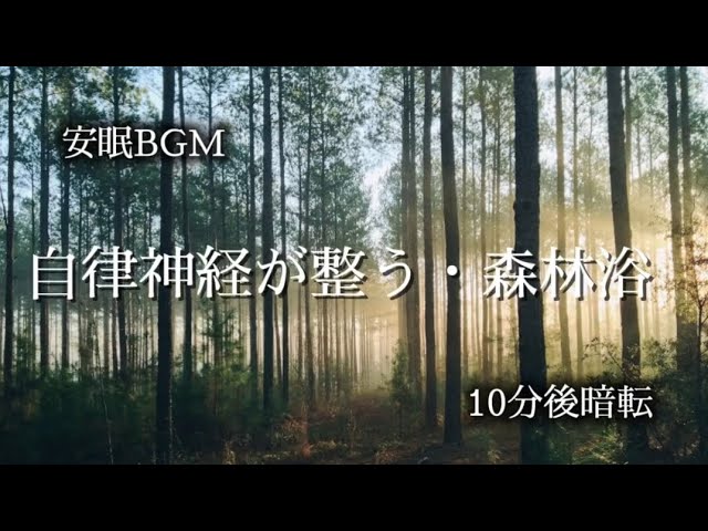 【聴くだけ処方箋】自律神経を整え心地よく眠る【森林浴】