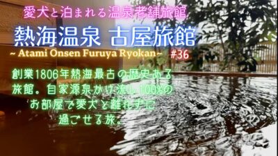 【愛犬と旅行】愛犬と泊まれる老舗温泉旅館