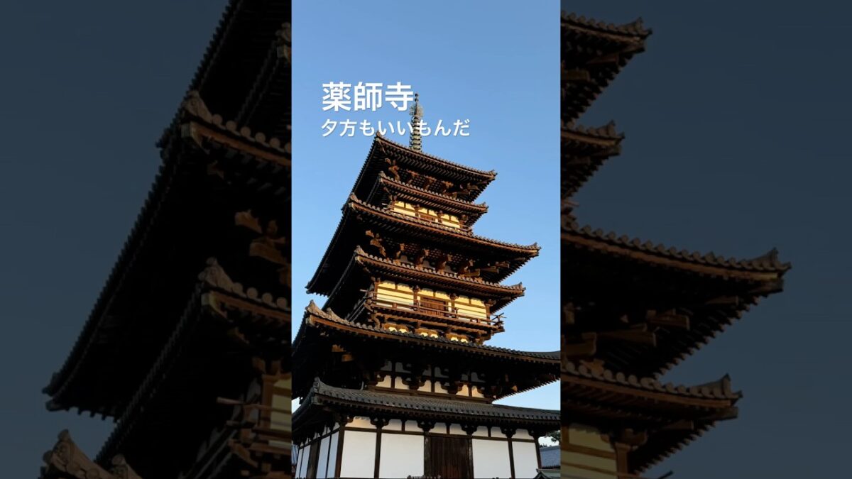 薬師寺　夕方もいいもんだ　#バスガイド #薬師寺 #奈良 #寺社巡り #歴史 #雑談 #雑学