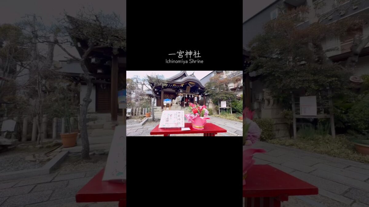 ［神戸一宮神社］ついたち詣り御朱印巡り