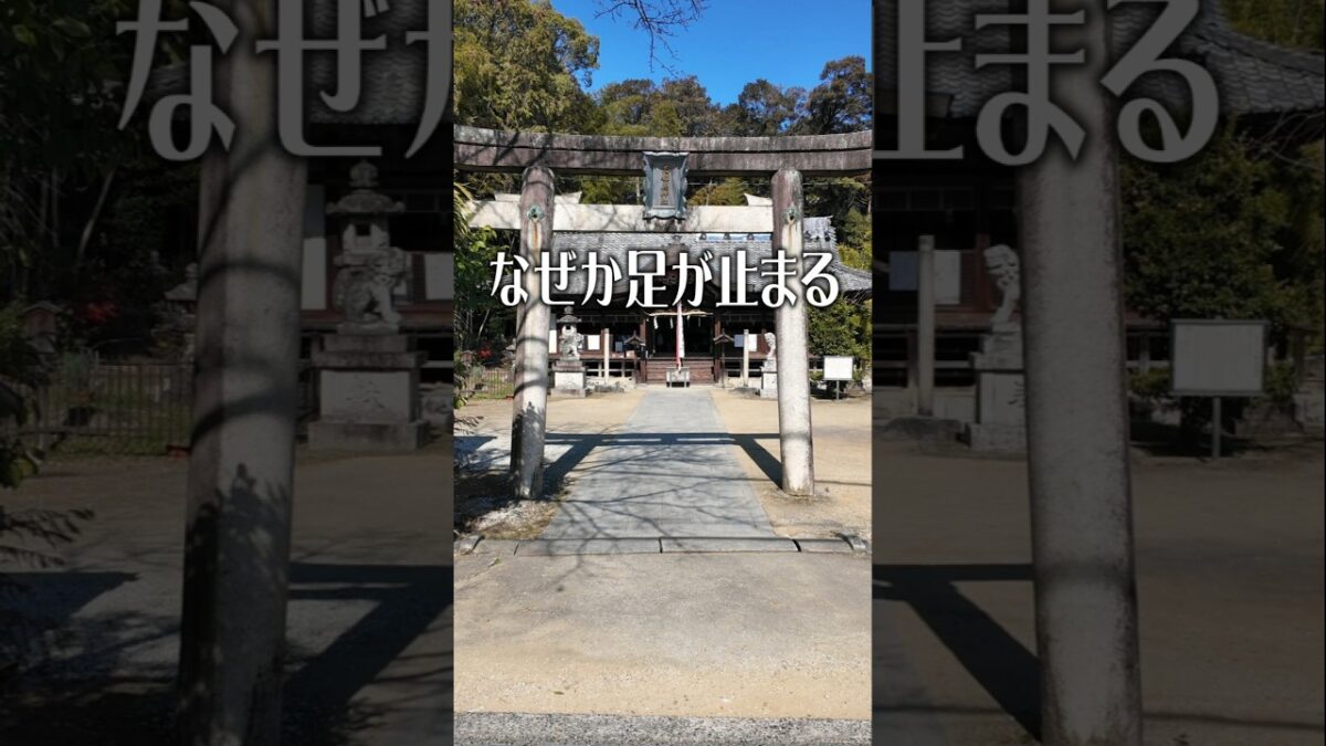 【なぜか足が止まる】志都美神社（奈良・香芝市）｜静寂の境界