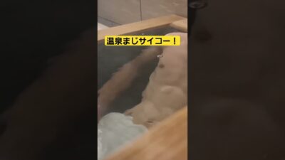 【一人旅】半露天風呂めっちゃリラックスできた！#温泉 #一人旅 #旅館#半露天風呂