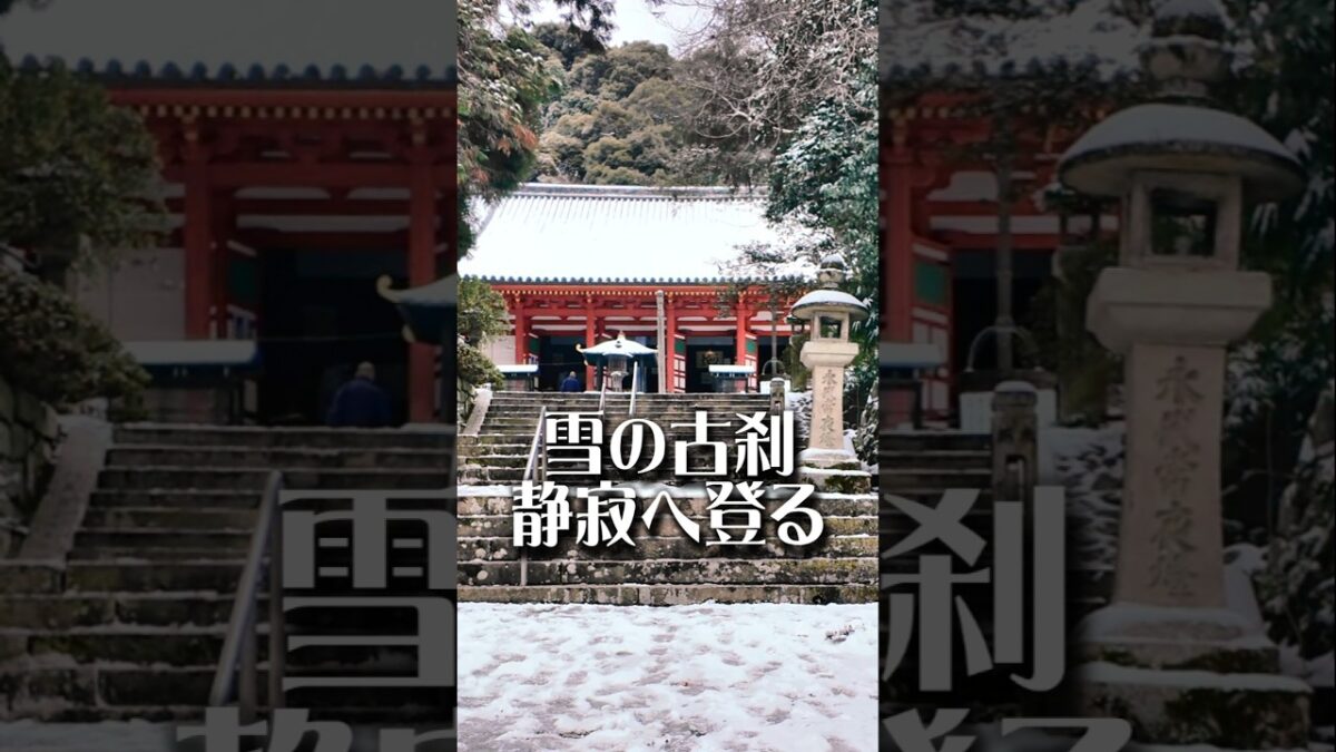 【雪の古刹】観心寺（大阪・河内長野）｜静寂へ登る