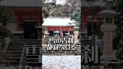 【雪の古刹】観心寺（大阪・河内長野）｜静寂へ登る