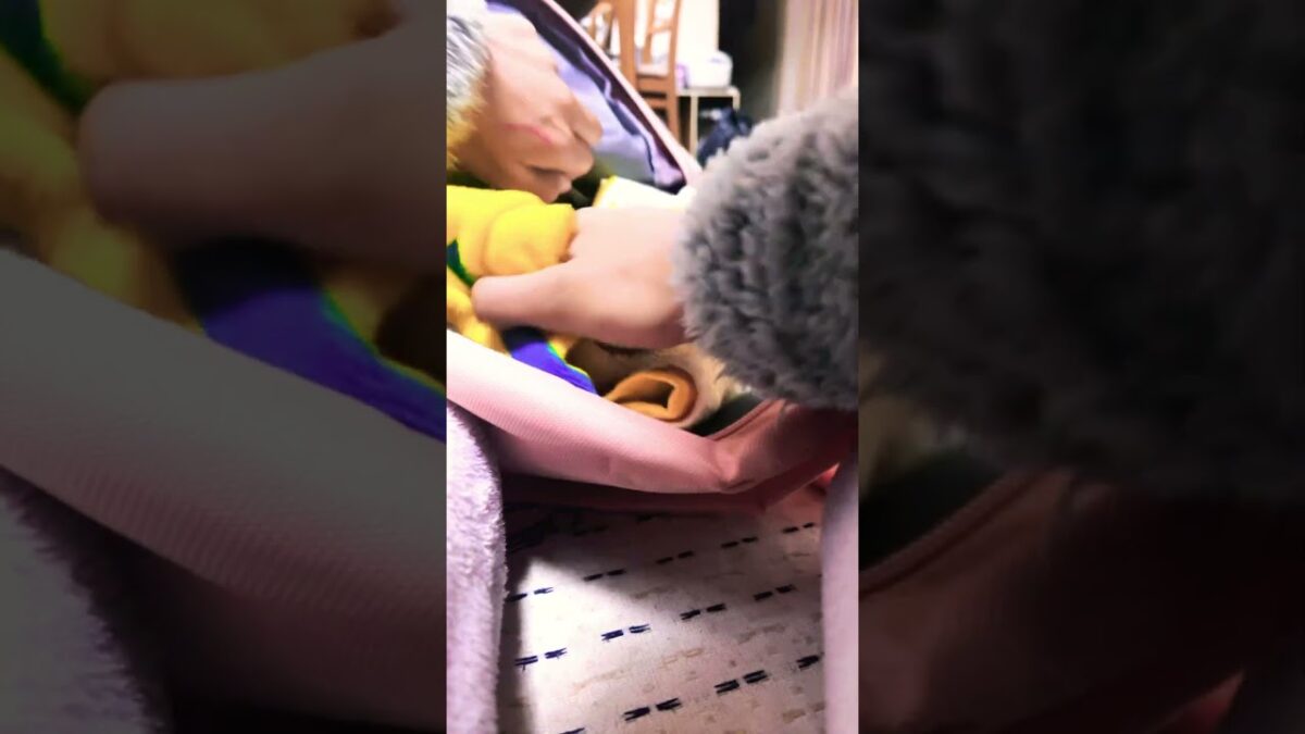 旅行パッキング✈️