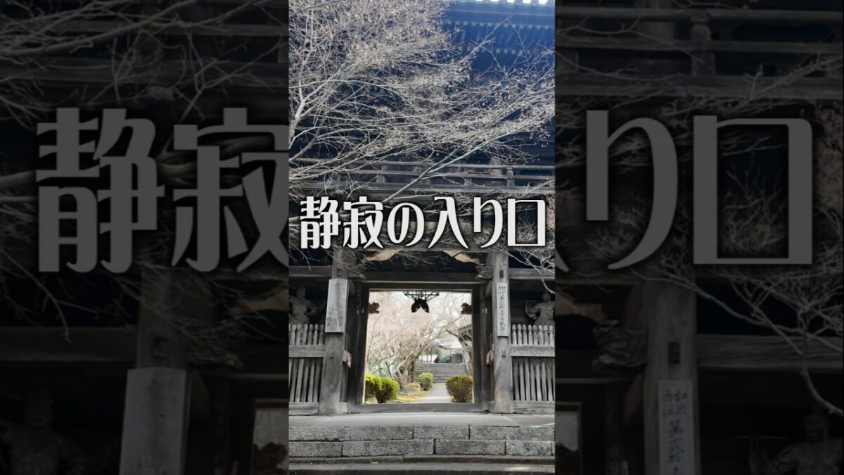 【静寂の入口】松尾寺（大阪・和泉市）｜空気が変わる古刹