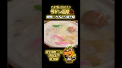【愛知】道が狭すぎて絶望…その先にあった奇跡のラドン温泉♨️と「溶ける湯豆腐」🍲#猿投温泉 #愛知 #温泉 #湯豆腐 #vlog #ラドン温泉 #一人旅 #癒やし  #車中泊