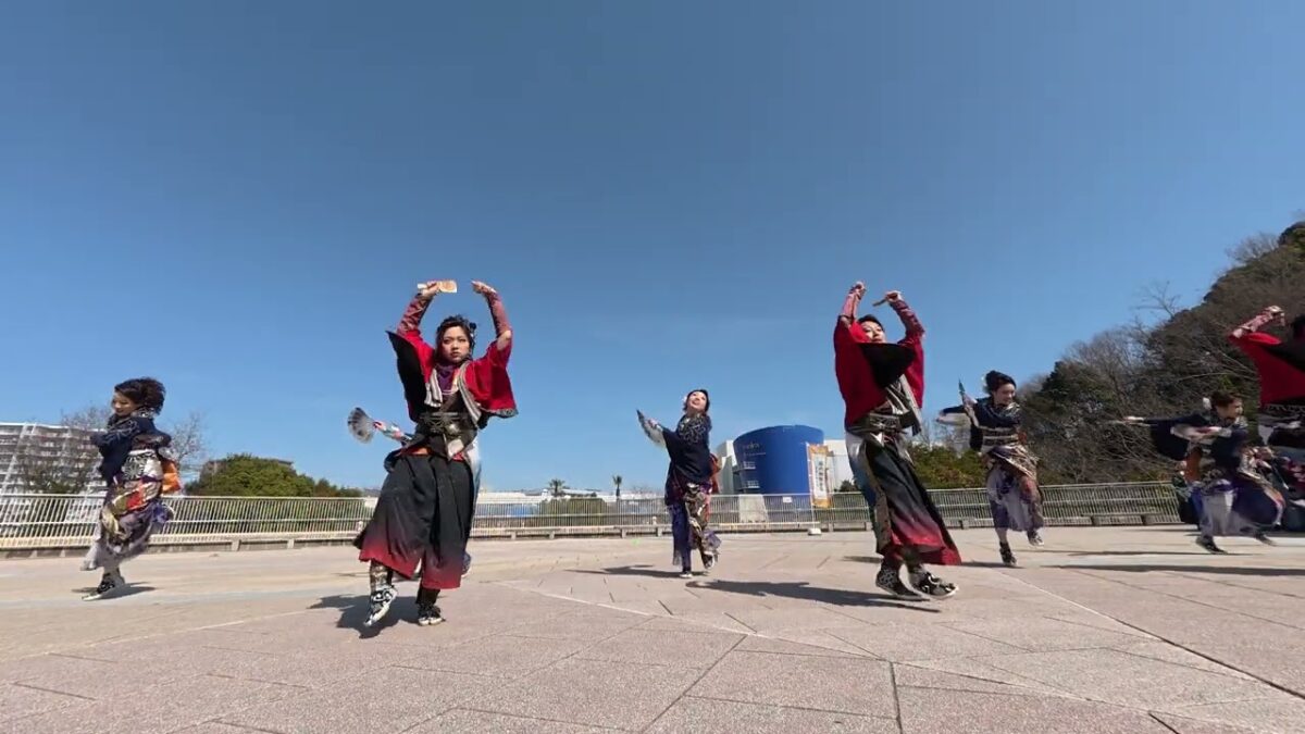 15 京都西陣阿国 堺よさこいかえる祭り2026［４Ｋ］wide2