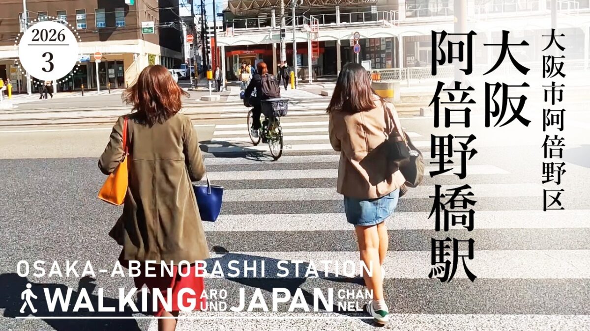 17日【4K/大阪散歩】大阪市阿倍野区大阪阿部野橋駅周辺を街歩き Walking around Osaka-Abenobashi station,Osaka,Japan,2026
