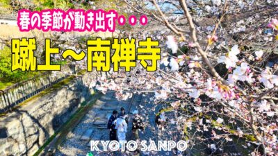 2026/3/26 (木) 🌸京都桜速報!!🌸 蹴上インクライン～南禅寺がついに咲き始めた! 春が動き出した平日夕方の絶景名所を歩く/京都Vlog/春の京都/春さんぽ/Kyotowalk [京都4K]