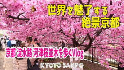 2026/3/6 (金) 🌸京都に春が近づく日🌸 春を先取り! 京都で一番早い桜並木を歩くVlog 世界中の人たちを魅了する濃いピンクの桜トンネル!! /春の京都/Kyoto walk [京都4K]