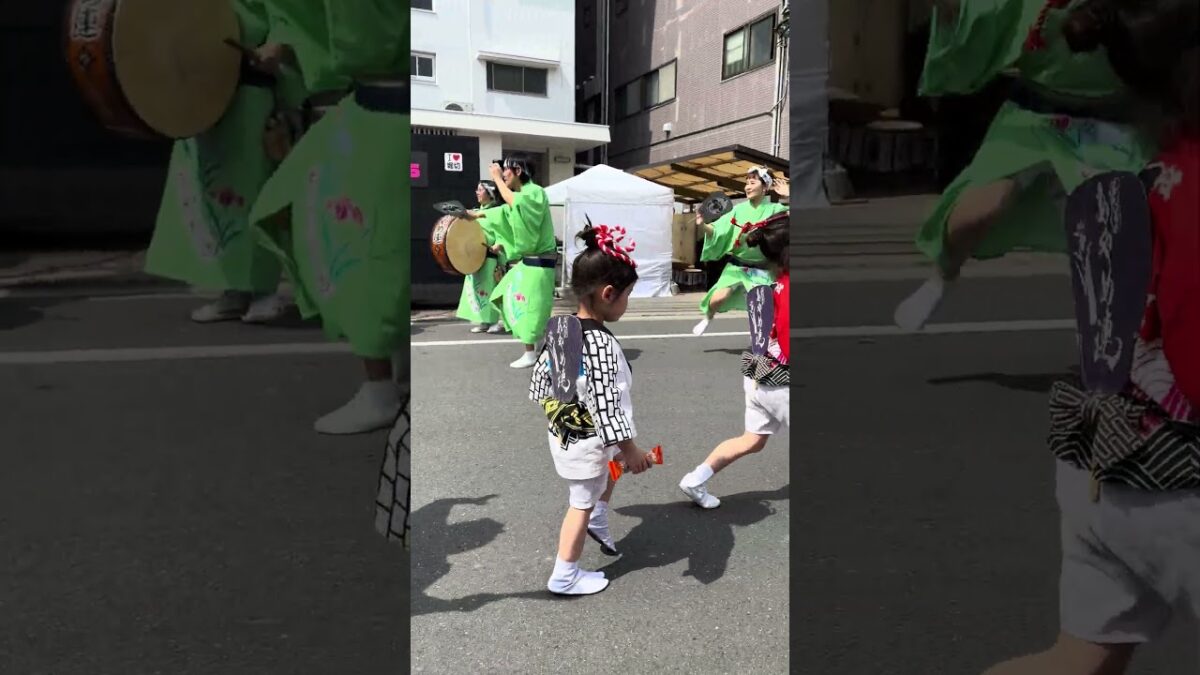 #堀切フェスタ2029#あやめ連#阿波踊り # #日本祭典 祭り#祭り