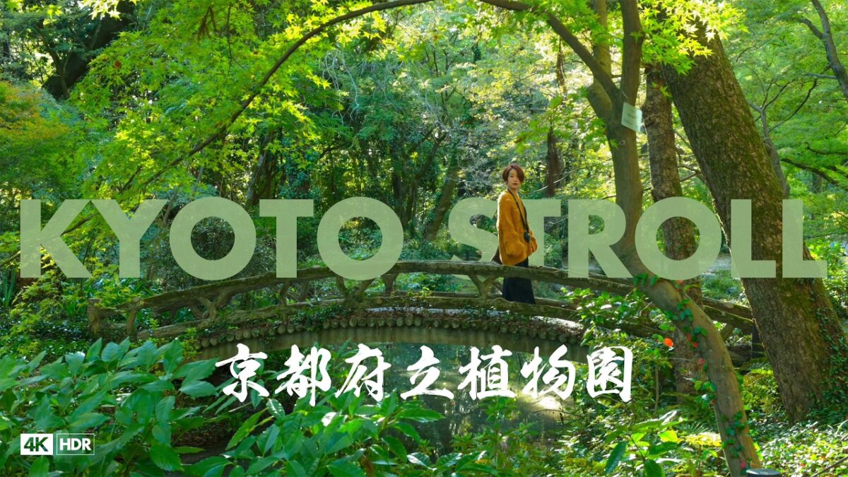 【4K HDR】京都府立植物園、夏果ての緑。ジブリのような幻想的な森。真の超高画質で巡る日本の美。