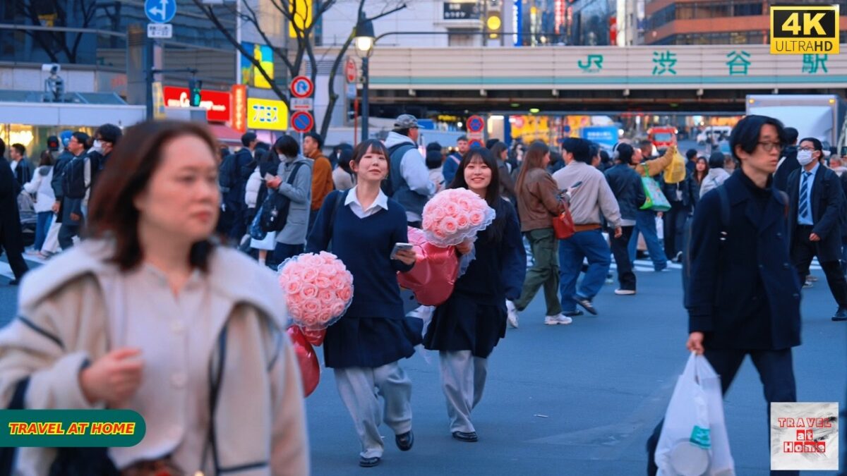 4K HDR Japan travel 2026 | Walk in Shibuya (渋谷) Tokyo Japan | Relaxing Natural City ambience