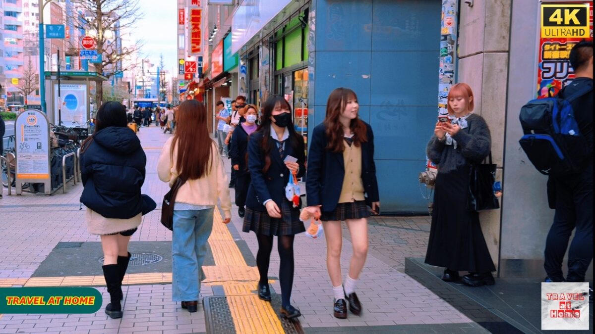 4K HDR Japan travel 2026 | Walk in Shinjuku（新宿）Tokyo Japan | Relaxing Natural City ambience