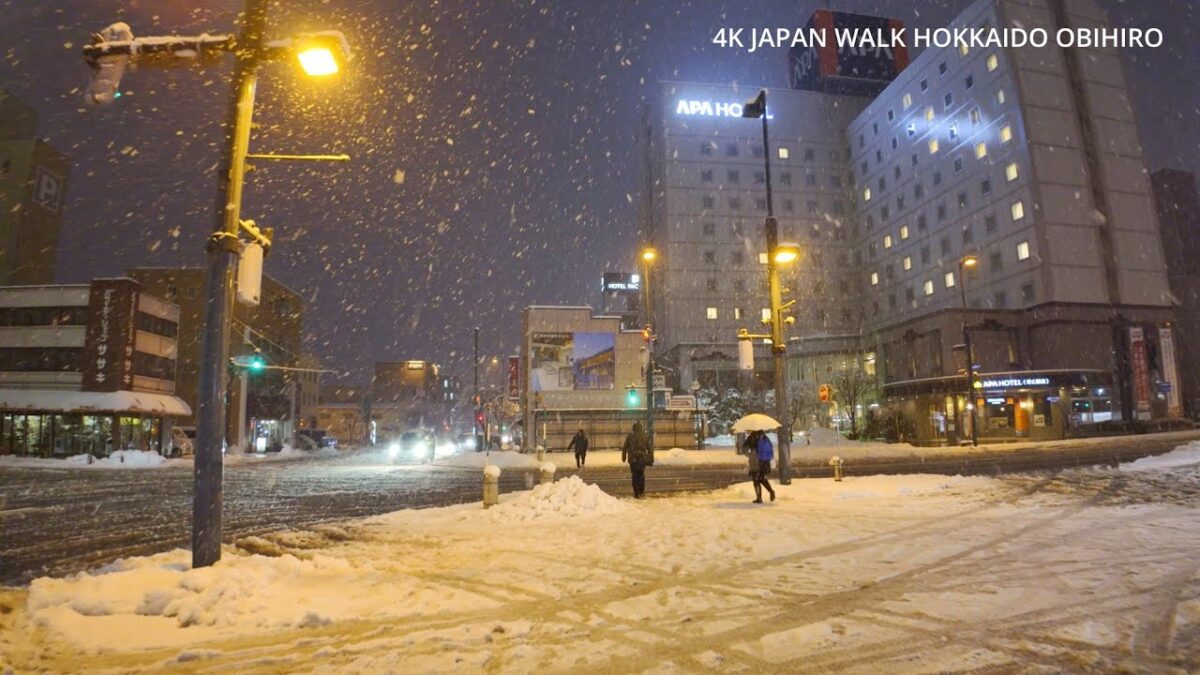 4K Japan Walk Snowfall Hokkaido Obihiro Station area雪の北海道帯広駅周辺を歩く