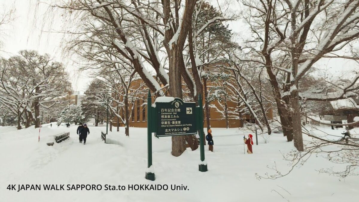 4K Japan Walk Snowy Sapporo Station to Hokkaido University雪の札幌駅から北海道大学を歩く
