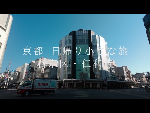 【4K 京都Vlog】京都・仁和寺｜世界遺産の静かな時間｜