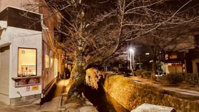 [4K] 夜の哲学の道| 京都 散歩 | 🖖 Vol.1,561 | Kyoto Japan Walking Tour 🇯🇵 | ASMR | 作業用