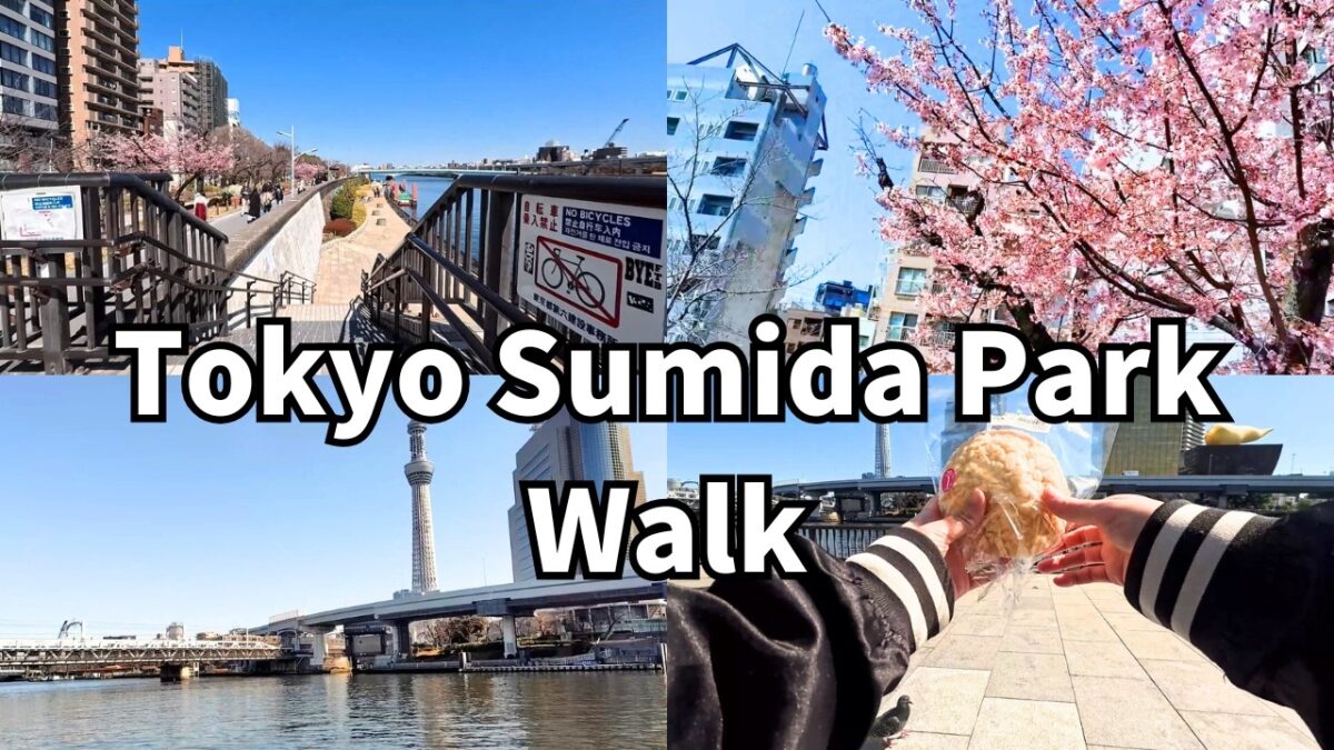 A Quiet Picnic in Asakusa, Tokyo | Sumida Park POV Walk