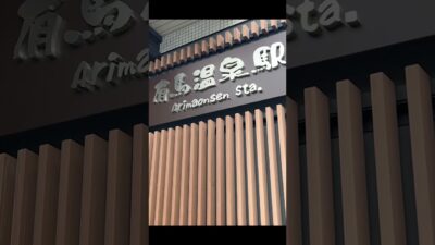 A Quiet Walk to the Station in Japan