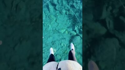 A journey of visual wonder #viral   #asmr