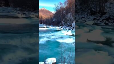 Alchemy of NATURE #nature #asmr #viral #viralvideo #alchemy #love