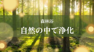 【森林浴】究極の癒しBGMと森の風景｜作業用・睡眠用・瞑想用・ストレス解消