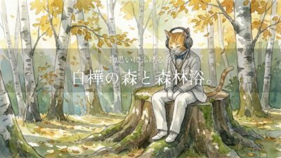 【癒しBGM】物思いにふける、白樺の森と森林浴。 | relaxing BGM | Evening Chill Beats
