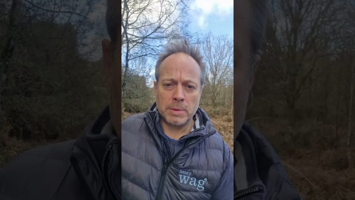 Henry Wag April CEO Vlog | Spring Adventures, Travel Essentials & Back In Stock Updates