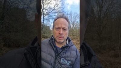 Henry Wag April CEO Vlog | Spring Adventures, Travel Essentials & Back In Stock Updates