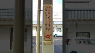 🇯🇵 Japan walk🚶‍♂️️#4K #HDR #shorts