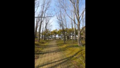 🇯🇵 Japan walk🚶‍♂️️#4K #HDR #shorts