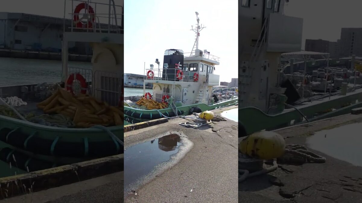 🇯🇵 Japan walk🚶‍♂️️#4K #HDR #shorts