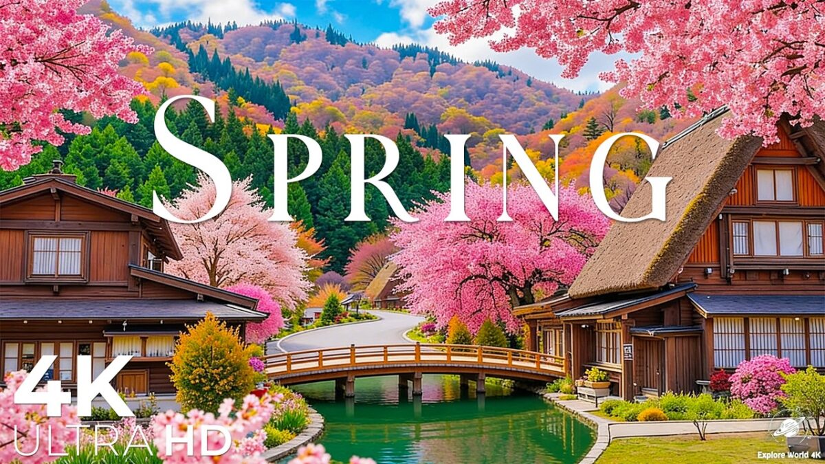 Kyoto Spring 4K🌸Tranquil Sakura Temples, Sacred Shrines & Timeless Kyoto Stillness | Relaxing Music