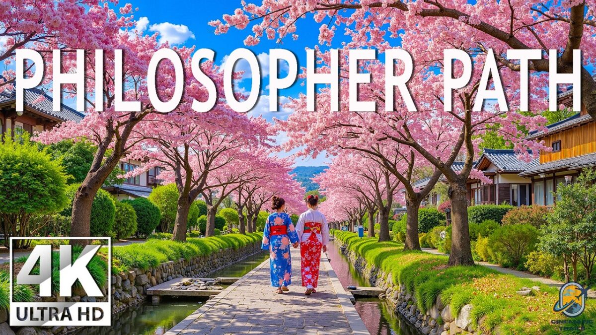 Philosopher’s Path Spring 4K 🌸 Sakura Serenity – Blooming Canal, Quiet Strolls & Soft Morning Glow