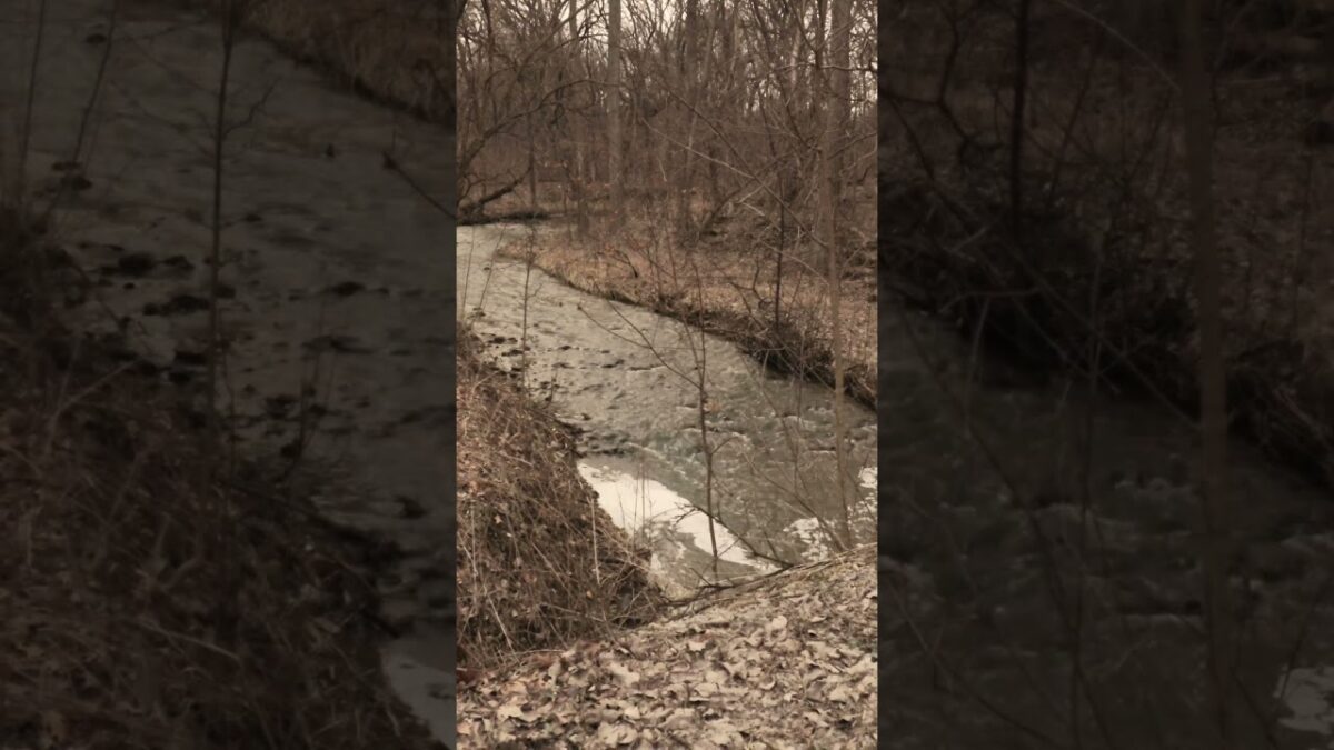 Pre-Railfanning Relaxation: After the Rain #nature #asmr