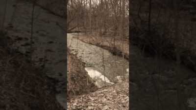 Pre-Railfanning Relaxation: After the Rain #nature #asmr