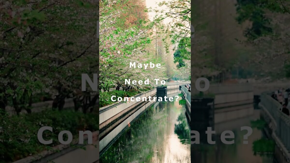 Quiet Canal ASMR | Get Over Tiredness or Distractions! #nature #asmr #relax