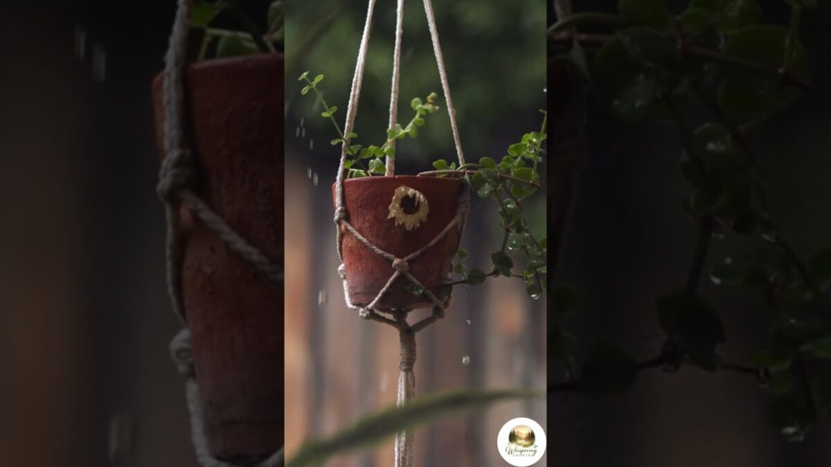 Rainy Day Macramé 🌧️ | Nature ASMR #whitenoise #nature #rain #sleep #deepsleep #peacefulwaves