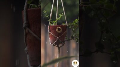 Rainy Day Macramé 🌧️ | Nature ASMR #whitenoise #nature #rain #sleep #deepsleep #peacefulwaves
