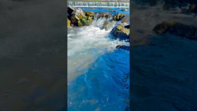 Relaxing River Sounds 🌿 Nature ASMR | Peaceful Water Flow #shorts #relaxing #forest #nature