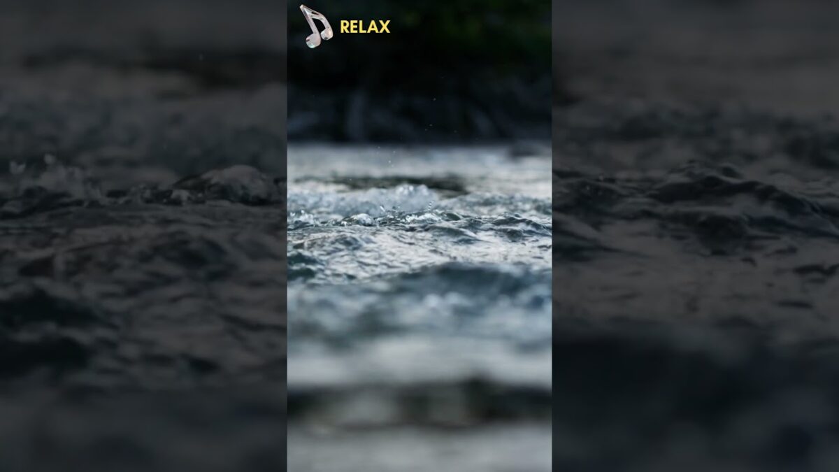 Relaxing Water Sounds  #relaxation #asmr #nature